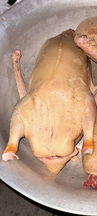 Продам домашних гусей и уток