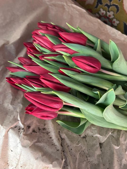 Тюльпаны оптом и в розницу!!!