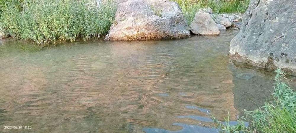 ОТДЫХ на природе