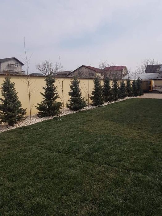 Gazon rulou sisteme de irigare