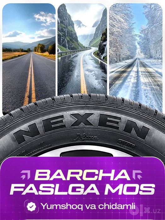 NEXEN NPRIZ S — всесезонные шины