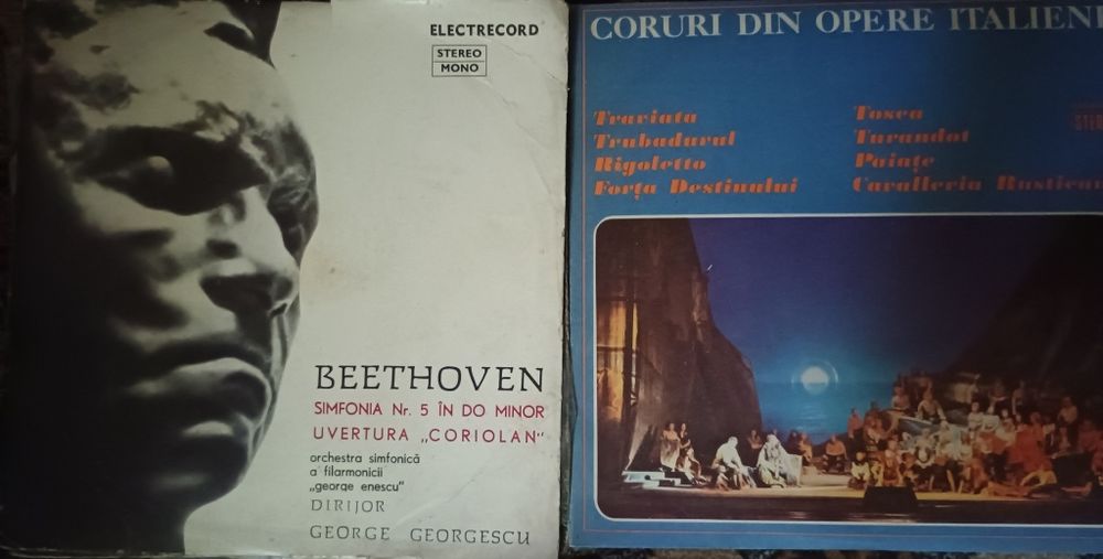 Placi vinil muzica populara, usoara, clasica, povesti