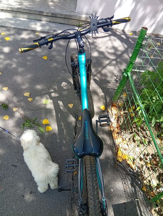De vânzare trotineta electrica și bicicleta caraiman