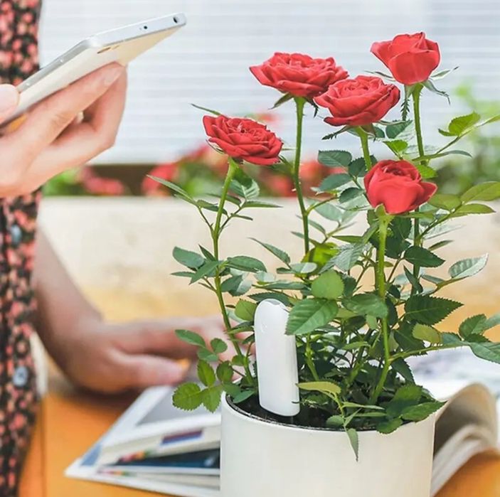 VegTrug - 4-tasi 1-da, gul o'simliklari uchun tuproq sinov qurilmasi.