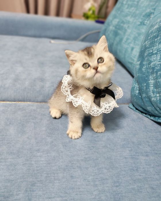 Шикарный крупный мальчишка от правильной вязки