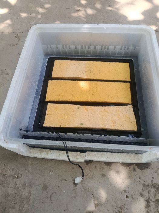 Инкубатор 120 талик