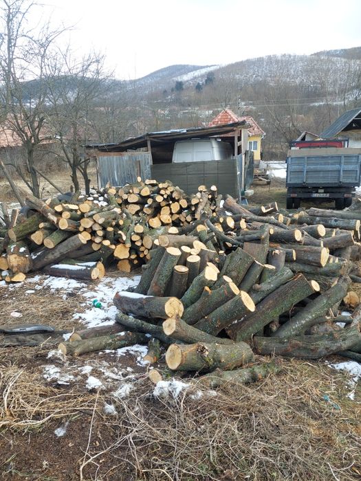 Lemn de foc jud cluj
