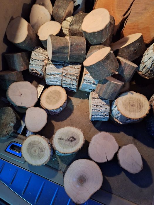 Шайби от естественно дърво 67 броя