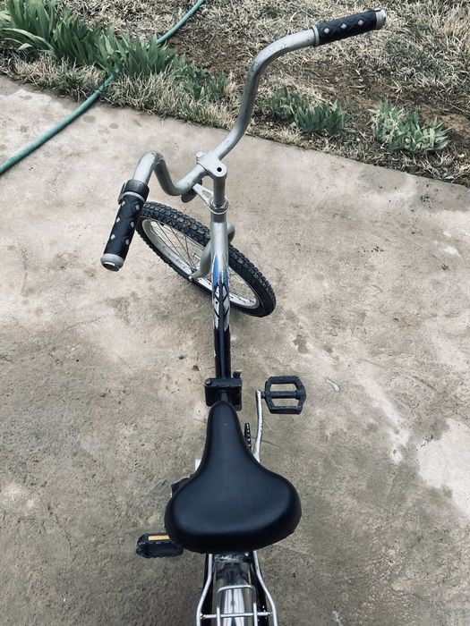 Велик десна,ухоженная