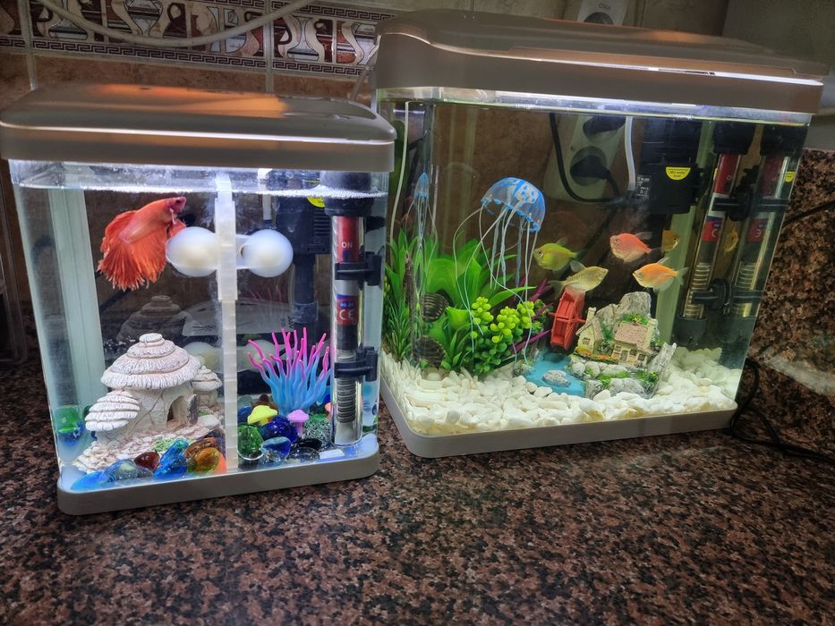 Продам два аквариума