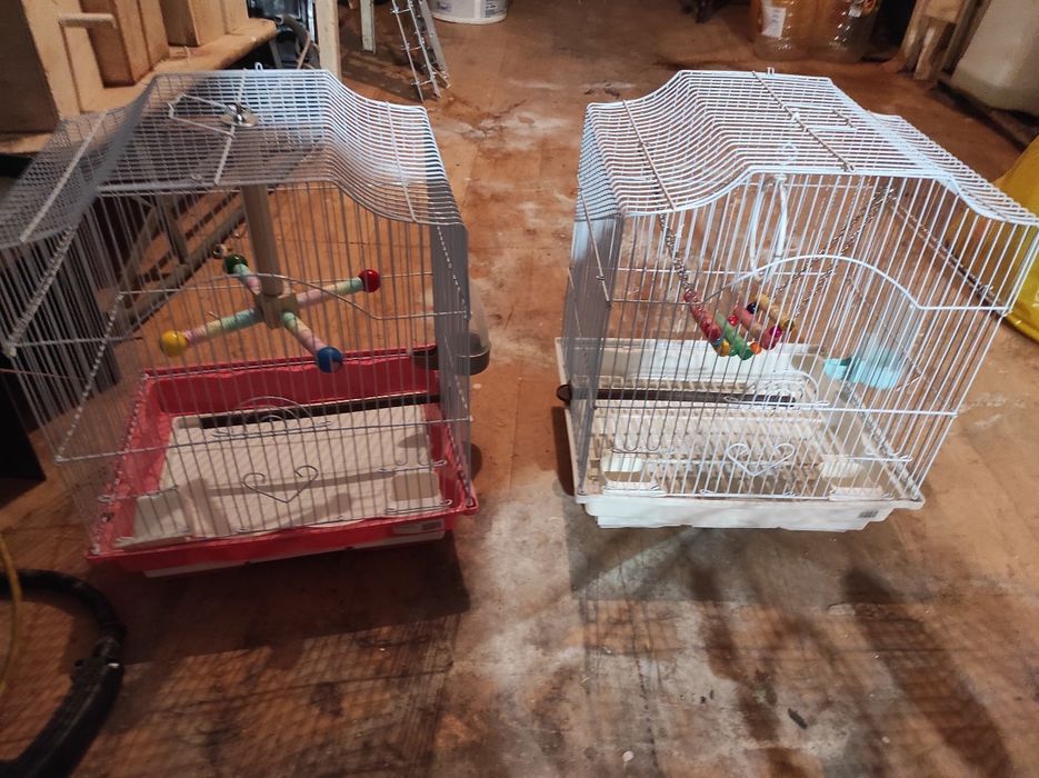 Vând cuști peruși