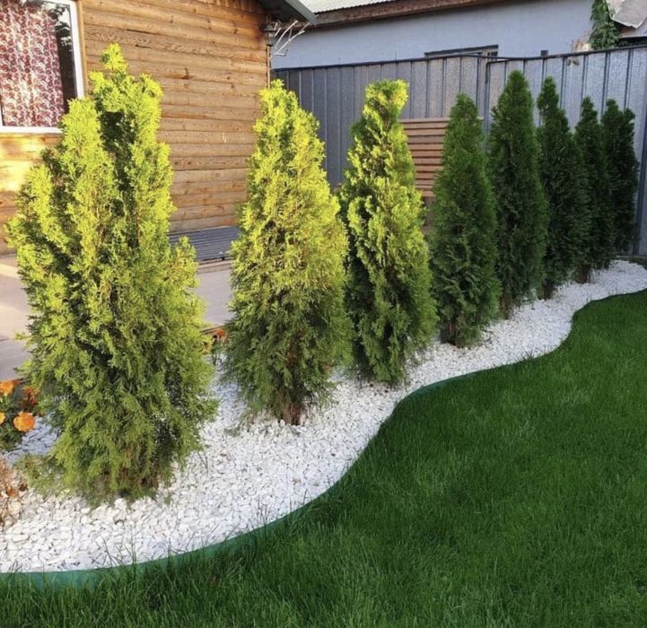 Автополив Газон