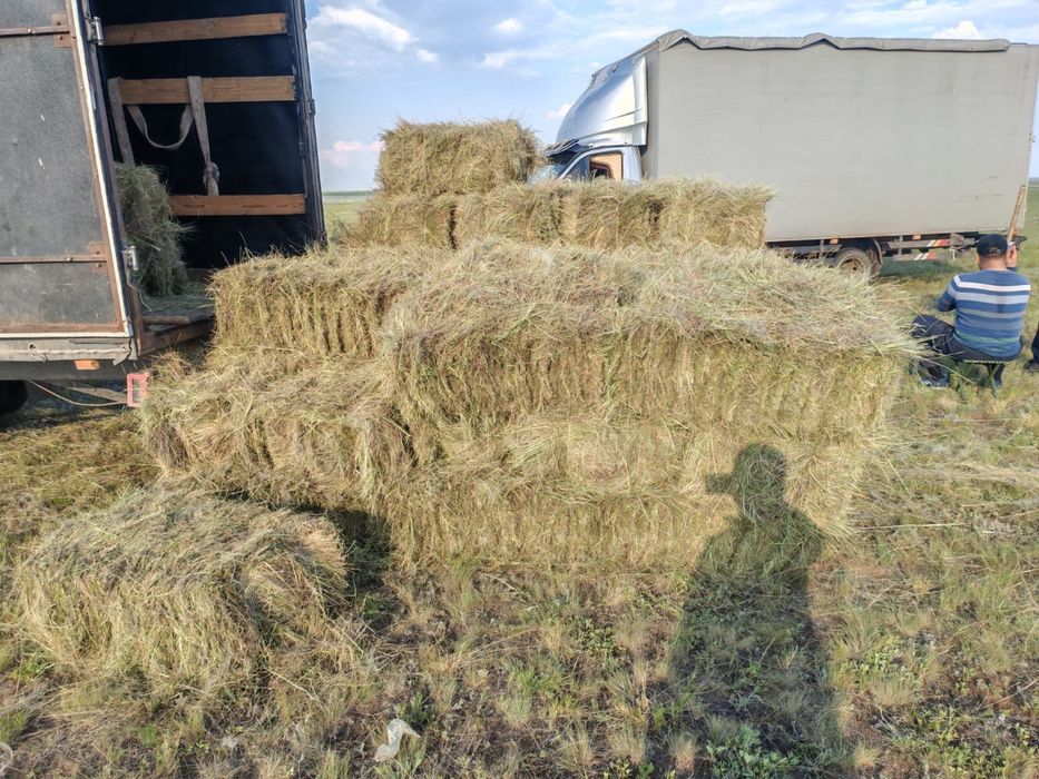 Продам сено разнотравье