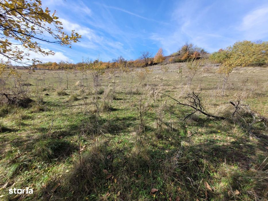 Vand teren intravilan + casa demolabila