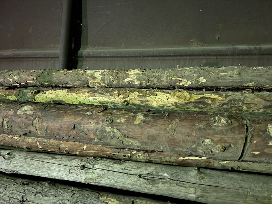 Кругляк, балка, сосна