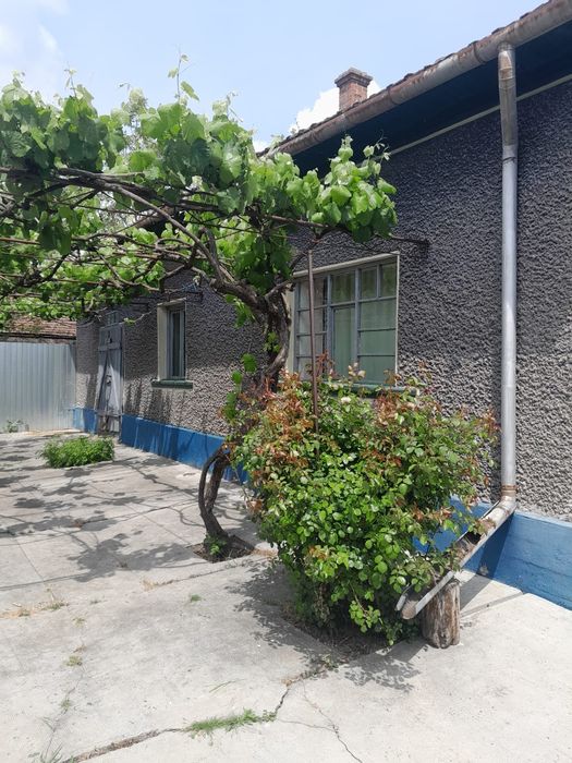 Vând casa în localitatea Mișca