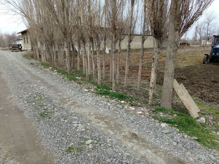 Unumdor yer uchastkasi