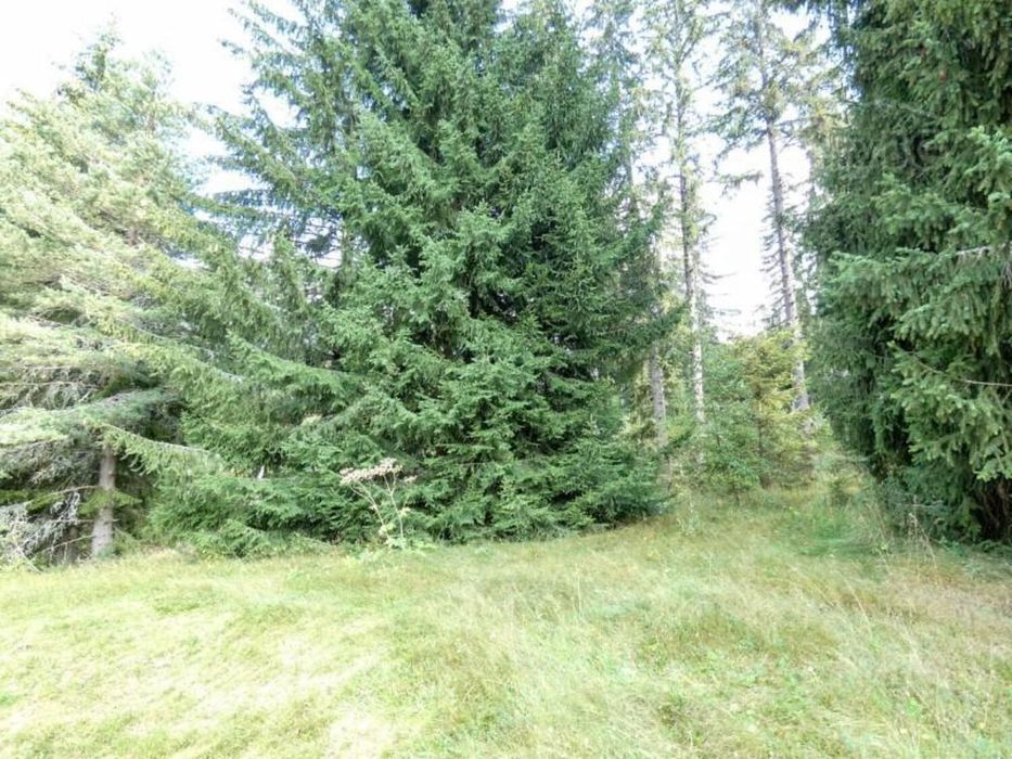 Продава се Парцел в с. Говедарци, Област София-област - 1503 кв.м за 33 €/кв.м - Снимка #6
