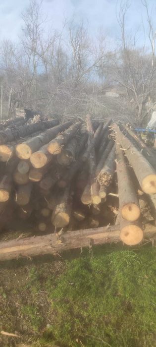 Căpriori de vanzare lungime 5 si 6 m