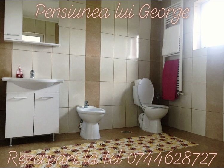 Camere cu regim hotelier la Pensiunea lui George