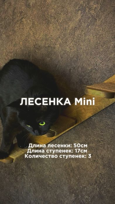 Настенный комплекс для кошек с установкой