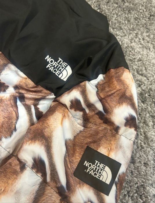 Vand geacă The North Face