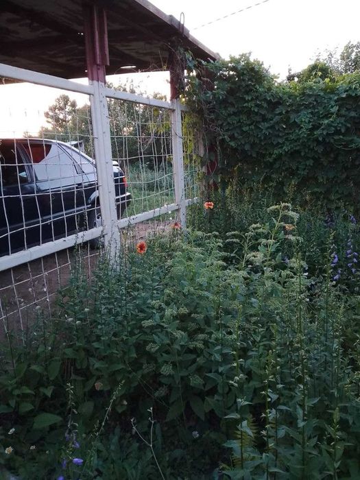 дачный участок с/к Олимпиец