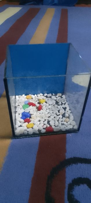 Аквариум  кубик 3 литра  за 3000