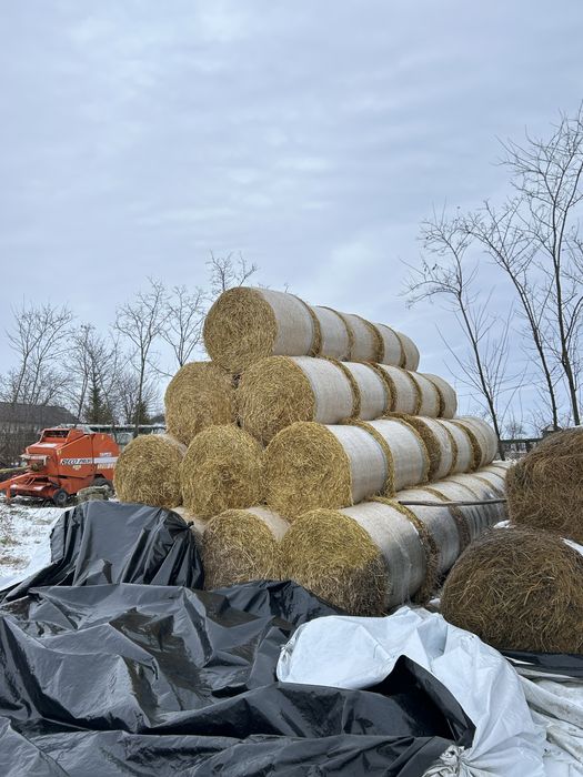 Vand baloti lucernă și paie orz