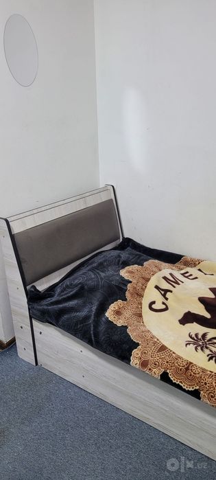 Surushniga faqat ishleydigan o'qiydigan qizlarga 2xona 1 xonasi berila