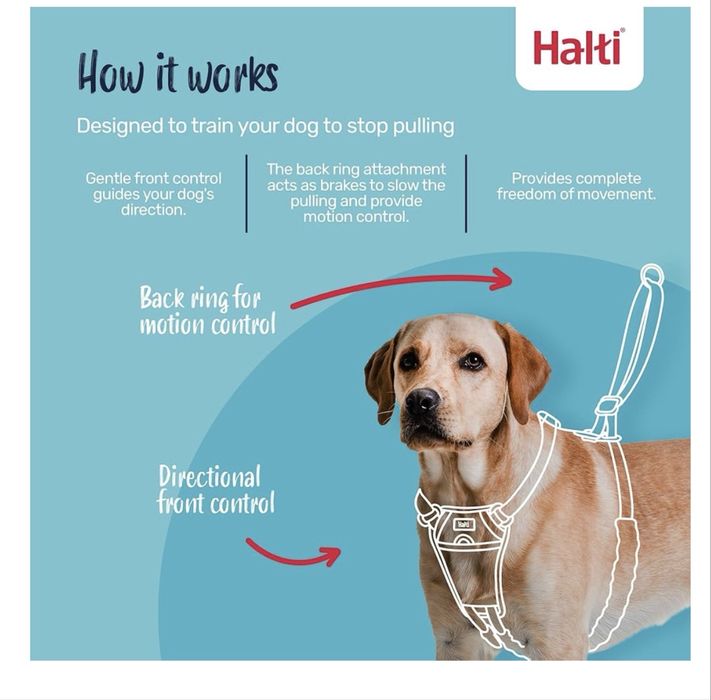 Ham HALTI fără tragere - Pentru a împiedica câinele