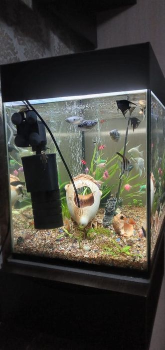Аквариум с рыбками
