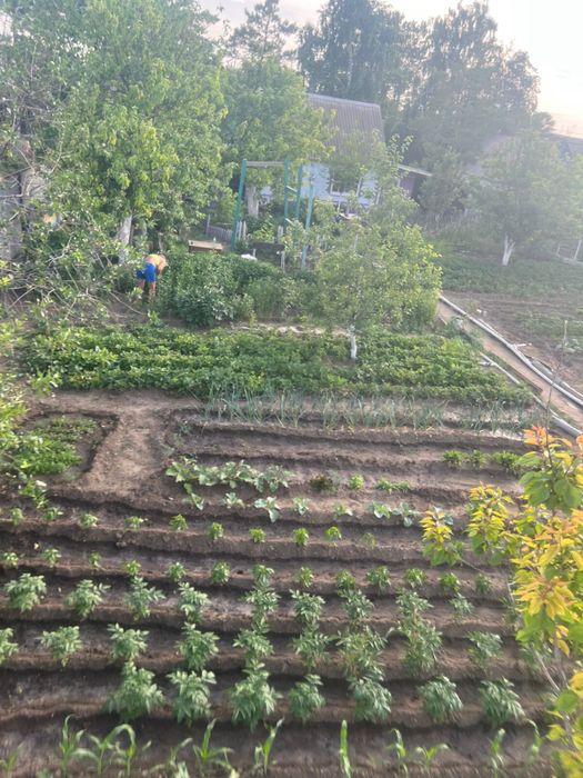 Продам дачный участок