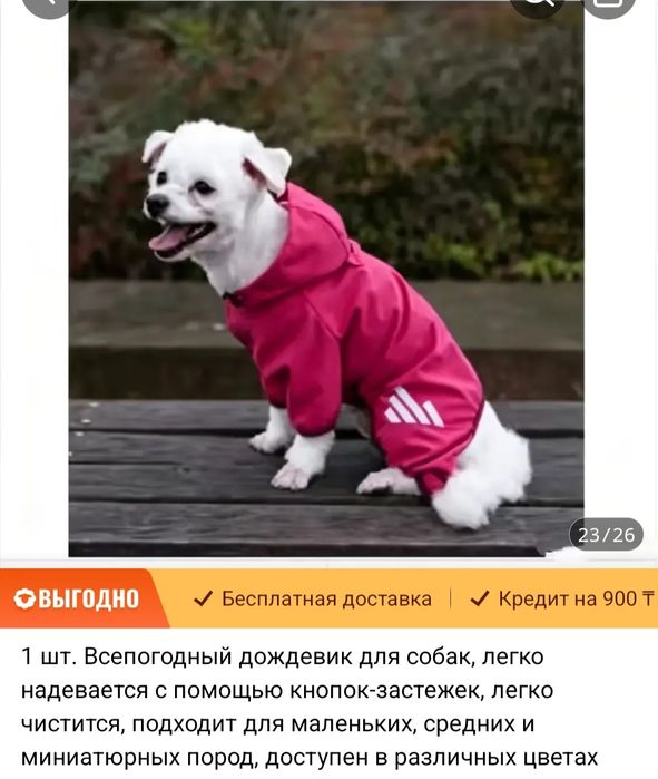 Одежда для собак