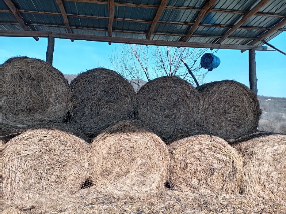 Vând baloti rotunzi 120/120