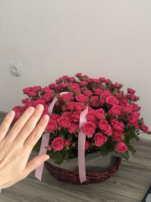 Продам Цветы , розы кустовые