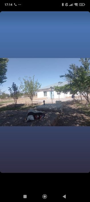 Dasha Dom Rohat hovli joy