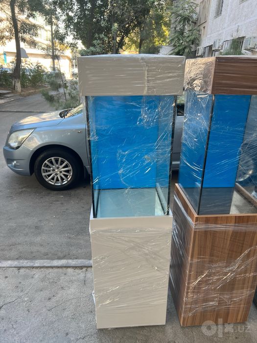 Akvarum va baliq dokon