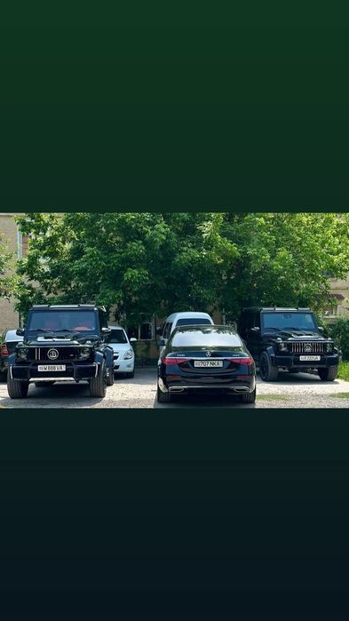 Картеж Kortej toy va radom chirchik 888