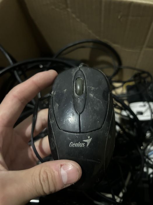 Есть мышки и клавиатура