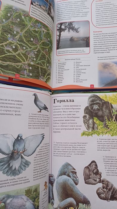 Книги энциклопедия детям