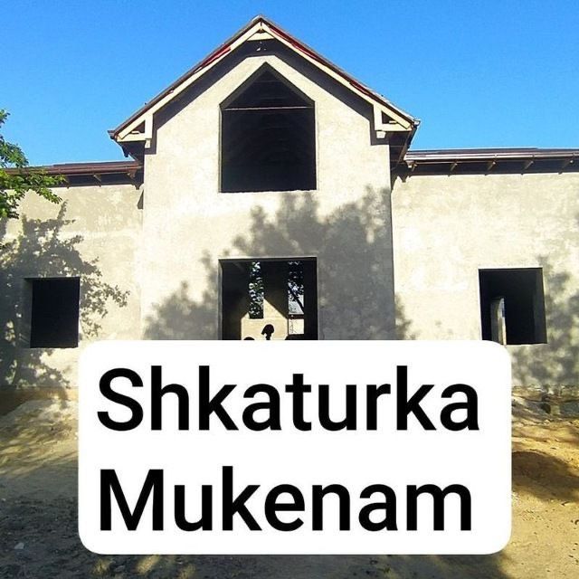 Шкатурка малярка стаячка