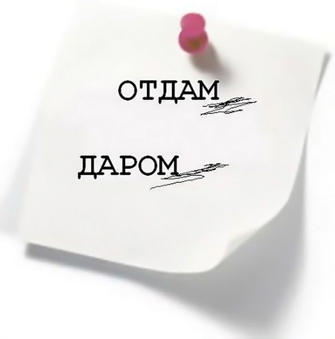 Отдам даром банки для солений