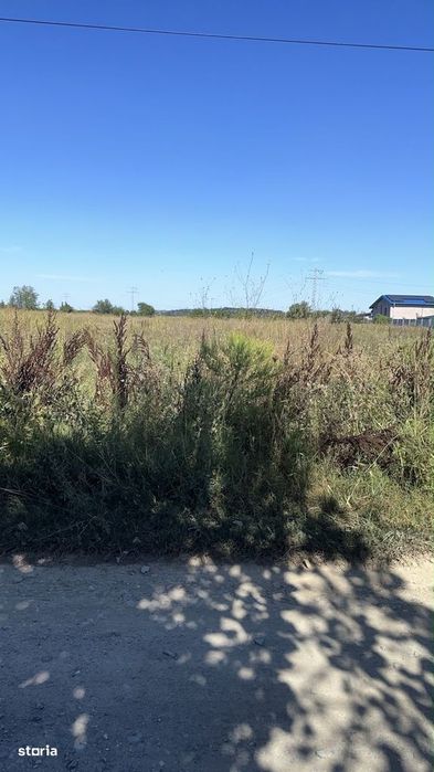 Teren intravilan 3645mp localitate 1 Decembrie zona rezidentiala