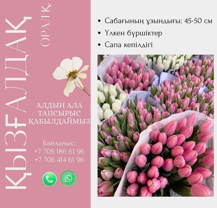 Тюльпаны ОПТОМ и в розницу + Праздничное оформление