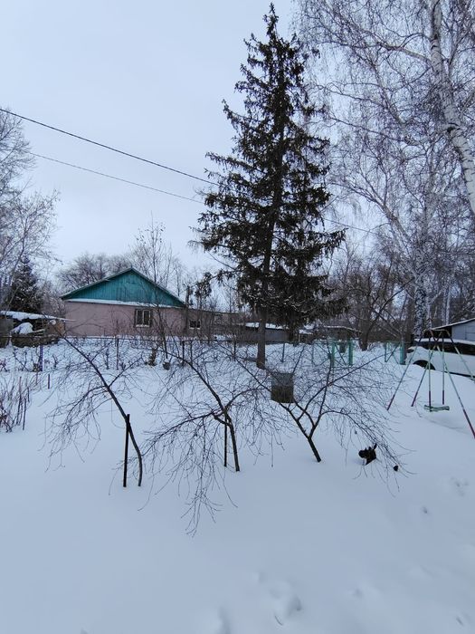 Продам  домовладение с. Петерфельд