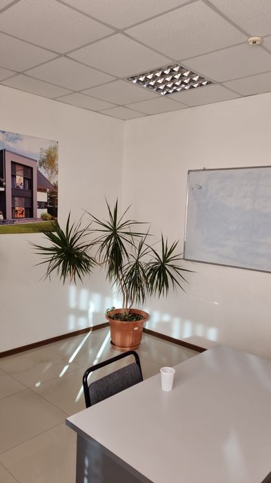 Аренда офисные помещения