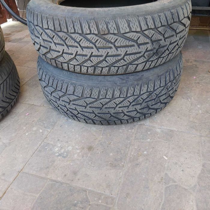 Anvelope Riken iarna 195/65 R15 91T