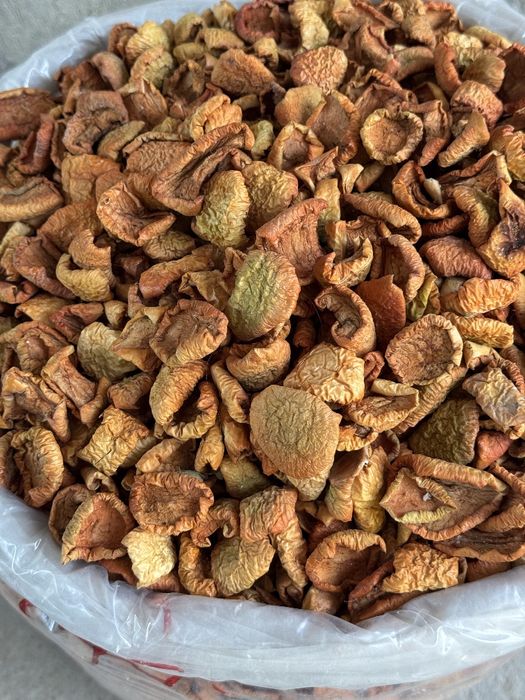 Яблоко сушенное olma quritilgan apple dried qoqi