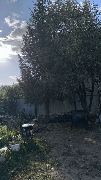 Продам дачу в районе " Келешек"